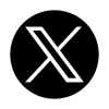 X Icon